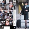 憧れのスチュワーデスと性交 神ユキ