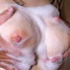 華奢巨乳の彼女が俺の親父に寝取られ種付けプレスされていた。 さつき芽衣 - サンプル画像 - 9