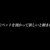 日泉舞香 先輩に預かってほしいと頼まれたペットはイラマ好きのM女…。ビールとわかめおにぎりも好き…無口な舞香と無口なボクの一泊二日の同居性活 - サンプル画像 - 1