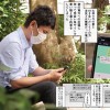 デジタル30万DL超え！！ 夏の間中小悪魔J●とナマ中出し三昧 夏日1＆2実写版 うんぱい - サンプル画像 - 3