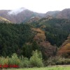 投稿実話 妻がまわされた17 ～旅館女将の汚された肉体～ 七瀬いおり - サンプル画像 - 8